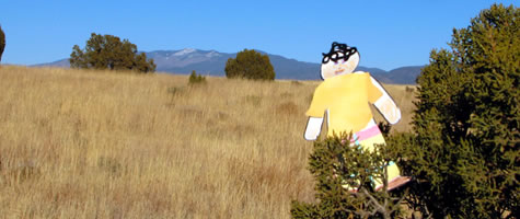 Flat Stanley in Santa Fe