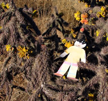 Flat Stanley in Santa Fe