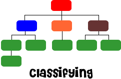 classifying visual