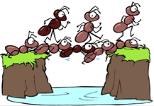 marching ants
