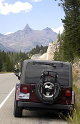 jeep and mountain