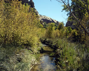 Calf Creek