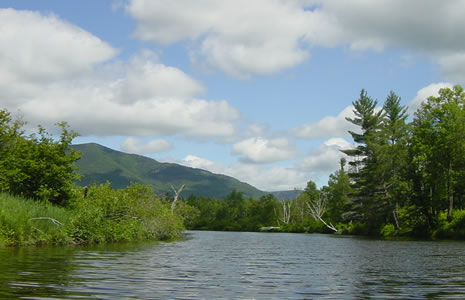 Canoe View