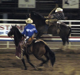 Cody rodeo