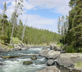 coffee pot rapids