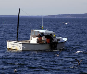 lobster boat