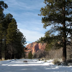 Snow on Kolb Road