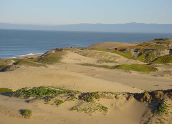 dunes of california