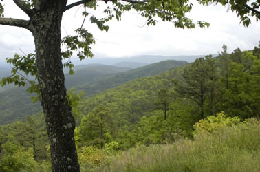 Winding Stair Mountain