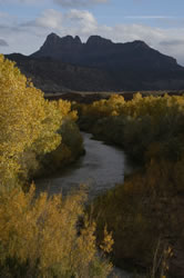 Fall colors along the Virgin River in Utah