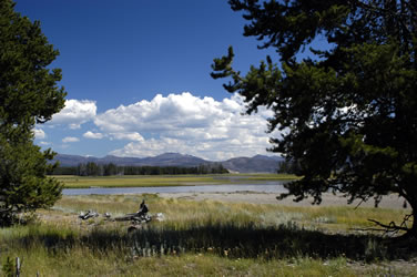 yellowstone