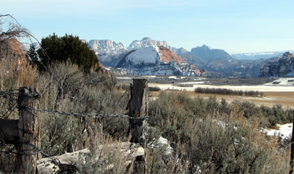 Zion National Park