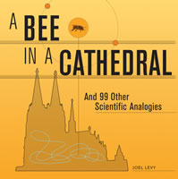 A Bee in a Cathedral