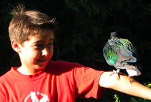 boy and bird