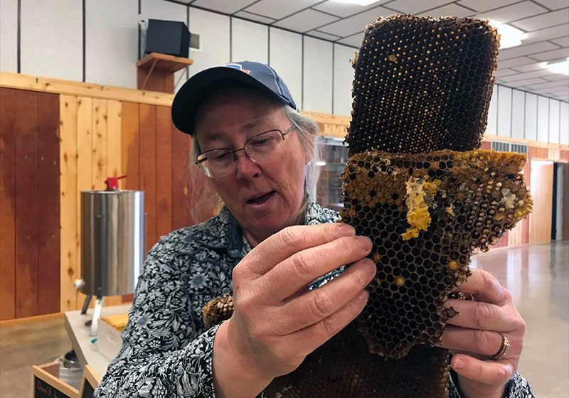 Beekeeper