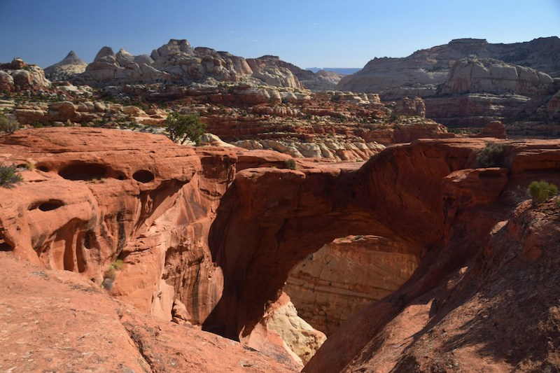 Cassidy Arch