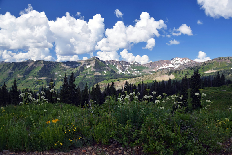 Crested Butte