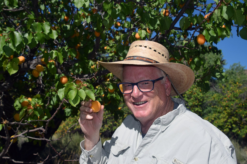Historic Orchards