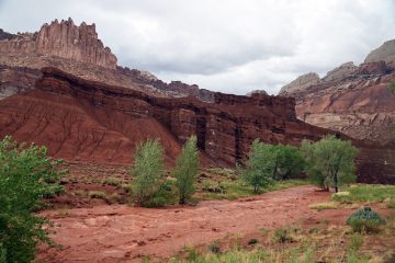 Capitol Reef Flooding