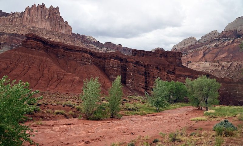 Capitol Reef Flooding